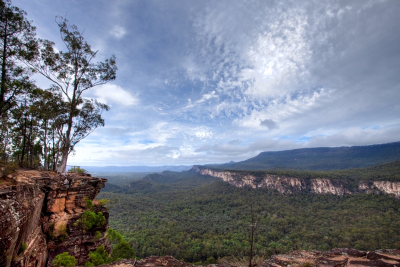 The Carnarvon Gorge sets the scene for a dramatic proposal.