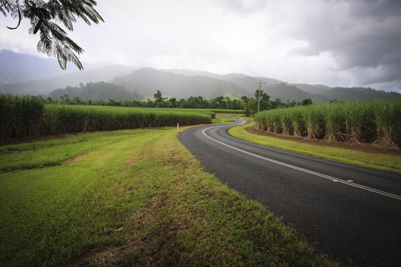 Set out from Cairns on a great day trip into the Wet Tropics.
