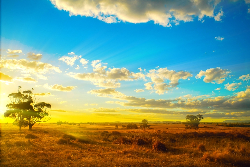 Victoria is a delight for fans of bold, expansive landscapes.